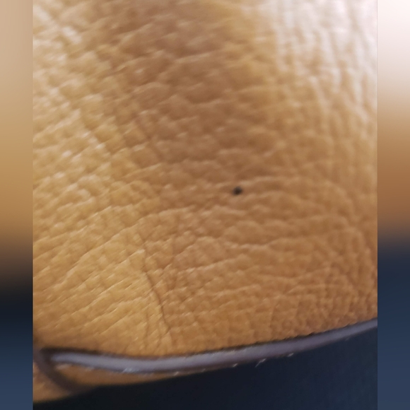 💫 Tory Burch: Brody Satchel - Picture 13 of 14